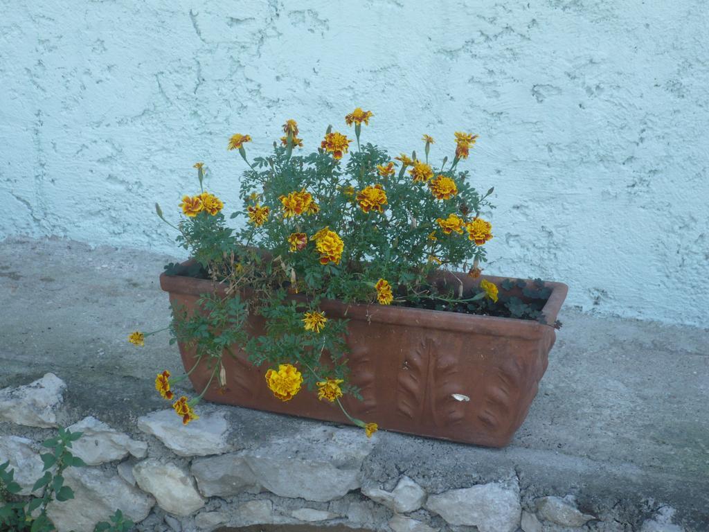 Appartamento Michela Brenzone sul Garda Room photo